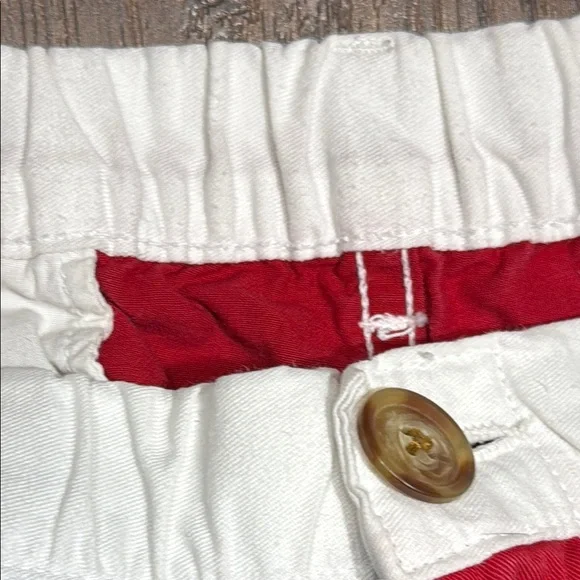 Chubbies Men's Patriotic Shorts - Picture 9 of 9